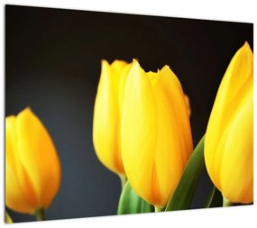Obraz tulipanów (70x50 cm)
