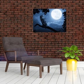 Obraz na szkle - Nocna Sowa (70x50 cm)