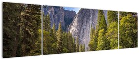 Obraz - Pod Yosemite Rock (170x50 cm)