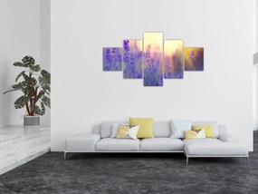 Obraz - Lawenda (125x70 cm)