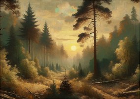 Obraz na szkle - Słońce świecące przez las (70x50 cm)