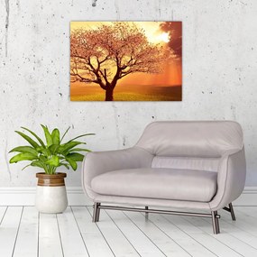Obraz na szkle promieni Boga (70x50 cm)