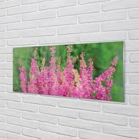 Panel Kuchenny Szklany Kompozycja Kwiatów i Wrzosów