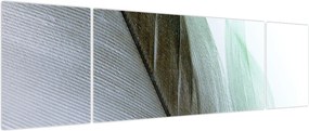 Obraz - Pióra, makro (170x50 cm)