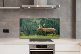 Panel nad Blat Kuchenny Jeleń na Otwartym Polu