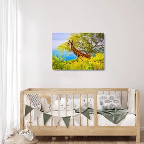 Obraz na szkle żyrafy w Afryce (70x50 cm)