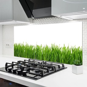 Panel Kuchenny Soczysta Zielona Trawa