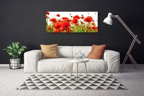 Fotoobraz na płótnie Dzika Łąka Makowa