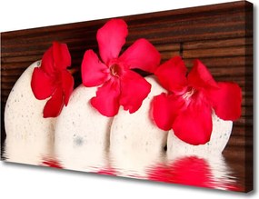 Zdjęcie na płótnie Kwiaty na Ciemnych Kamieniach