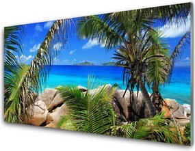 Panel Szklany do Kuchni Liście Na Tle Skał