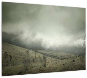 Obraz krajobrazu przed burzą (70x50 cm)