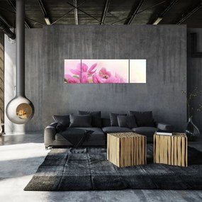 Obraz - Różowe kwiaty (170x50 cm)