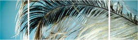 Obraz pióra (170x50 cm)