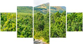 Obraz - Babia Góra, Polska (125x70 cm)