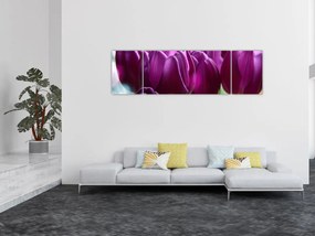 Obraz tulipanów (170x50 cm)