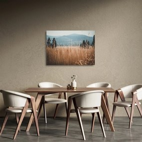 Obraz na szkle - szczegół łąki (70x50 cm)