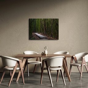 Obraz - Wśród bambusów (70x50 cm)