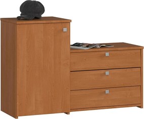 Szafka na buty AKORD S16 Olcha 98,4 cm 4 drzwi kolor Olcha mat 5 półek 98,4x33x68 cm