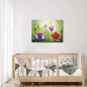 Obraz na szkle - Maki (70x50 cm)