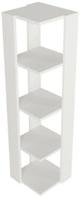 Biblioteczka Venita White
