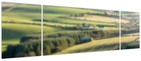 Obraz - Widok na krajobraz (170x50 cm)