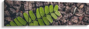 Obraz zielonej rośliny (170x50 cm)