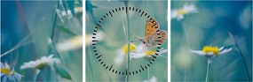 Obraz - Motyl na stokrotce (z zegarem) (90x30 cm)