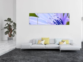 Obraz - Kwiat (170x50 cm)