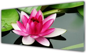 Panel nad blat kuchenny Subtelna Natura w Kwiatach