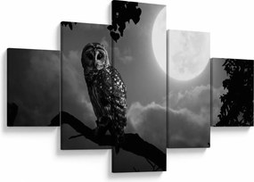 Obraz - Nocna sowa, czarno-biały (125x70 cm)