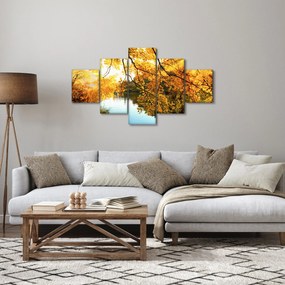 Obraz - Jesienne drzewo (125x70 cm)