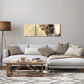 Obraz lwiątka (z zegarem) (90x30 cm)