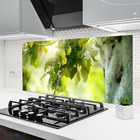 Panel Szklany Dojrzałe Jabłka Na Gałęzi