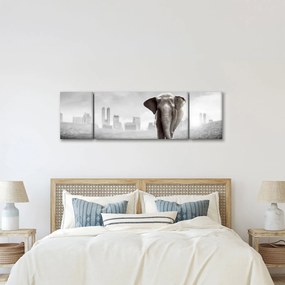 Obraz - Słonie w wielkim mieście, wersja czarno - biała (170x50 cm)