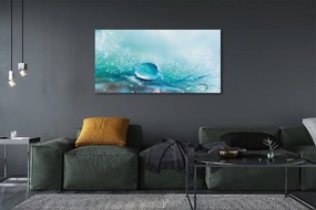 Obraz drukowany na płótnie Abstrakcyjna Kropla Makro