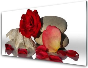 Panel Szklany Aksamitne Płatki Róż