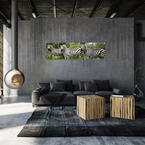 Obraz z zebrami (170x50 cm)