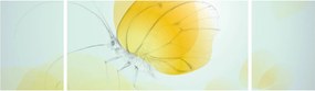 Obraz - Żółty motyl (170x50 cm)