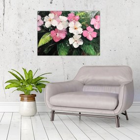 Obraz na szkle - Różowe i białe kwiaty (70x50 cm)
