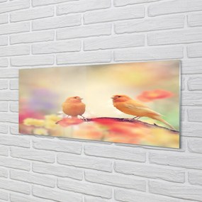 Panel szklany do Kuchni Rodzina Kolorowych Papug