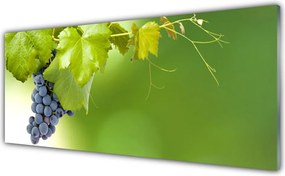 Szkło do Kuchni na Ścianę Dojrzałe Winogrona w Winnicy