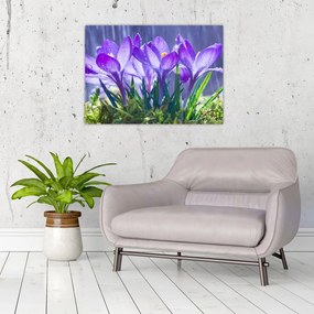 Obraz na szkle - kwiaty w deszczu (70x50 cm)
