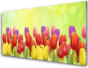 Panel Szklany Klasyczne Holenderskie Tulipany