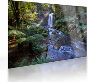 Obraz na szkle australijskiego lasu deszczowego (70x50 cm)