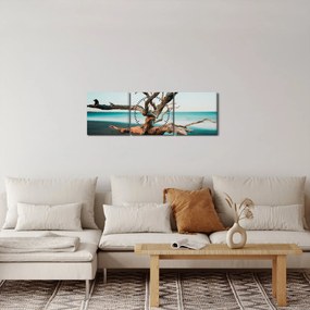 Obraz -  Wyłowiono na plaży (z zegarem) (90x30 cm)