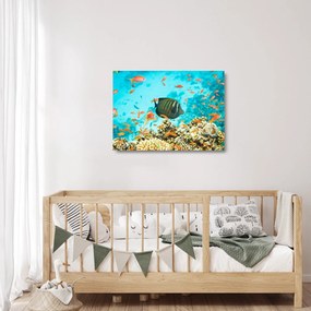 Obraz na szkle podwodnego świata (70x50 cm)