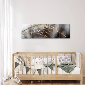 Obraz kropli na roślinie (170x50 cm)
