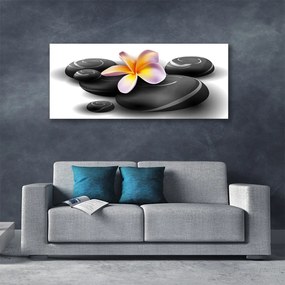 Obraz na płótnie Kwiaty i Kamienie Zen