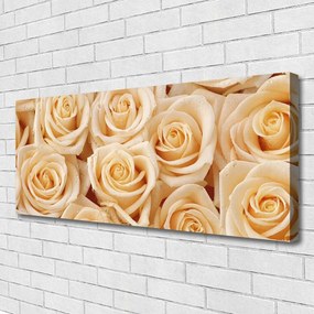 Zdjęcie na płótnie Aksamitne Róże w Pąkach