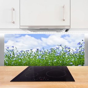 Szkło Dekoracyjne do Kuchni Harmonijna Flora Ogrodowa